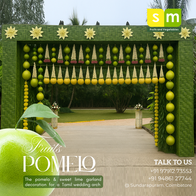 Pomelo Garland